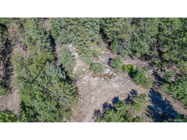 N Turkey Creek, Morrison, CO 80465