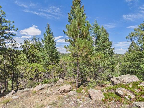N Turkey Creek, Morrison, CO 80465