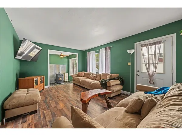 616 W 8th, Leadville, CO 80461