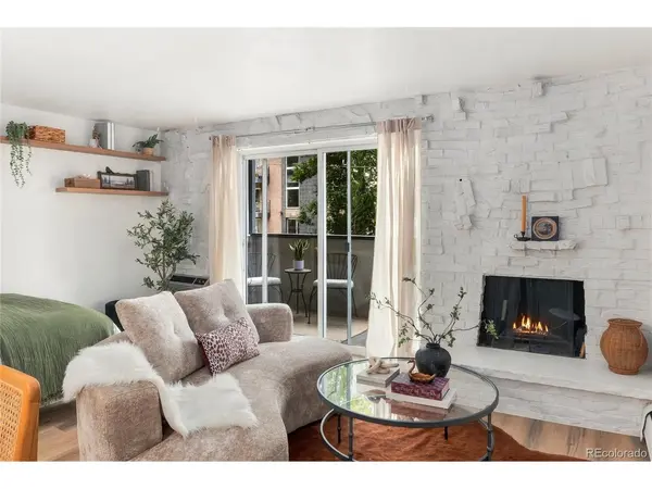 1270 N Marion #207, Denver, CO 80218