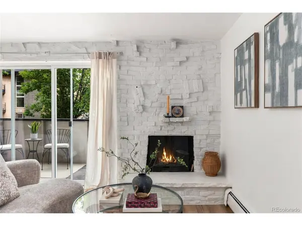 1270 N Marion #207, Denver, CO 80218