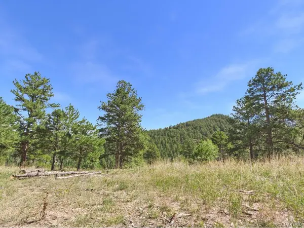 N Turkey Creek, Morrison, CO 80465