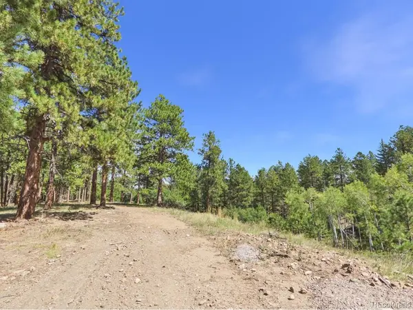N Turkey Creek, Morrison, CO 80465