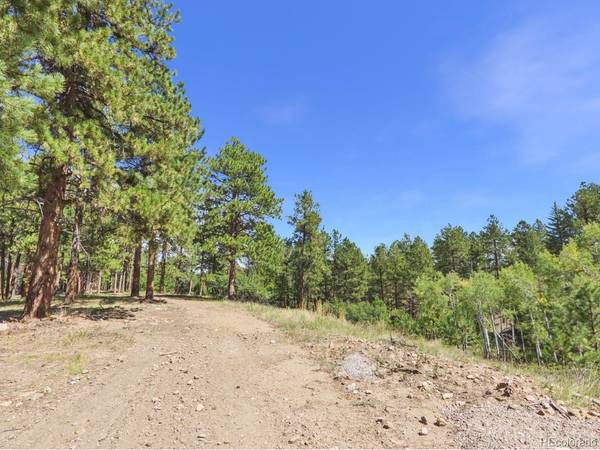 N Turkey Creek, Morrison, CO 80465