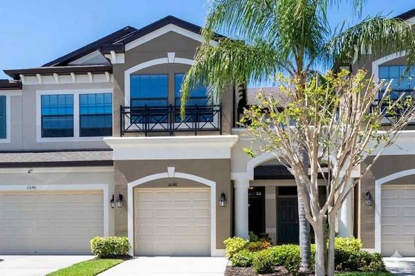 11648 CROWNED SPARROW LN, Tampa, FL 33626