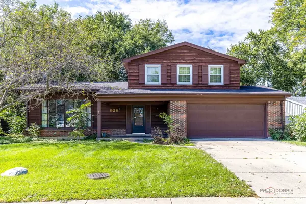 928 Rohlwing RD, Palatine, IL 60074