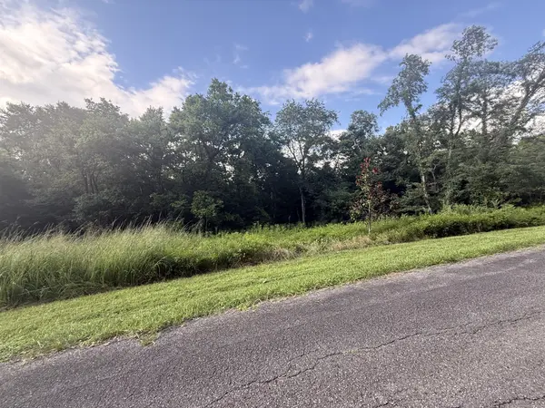 0 Willow Hollow Rd, Clarksville, TN 37043