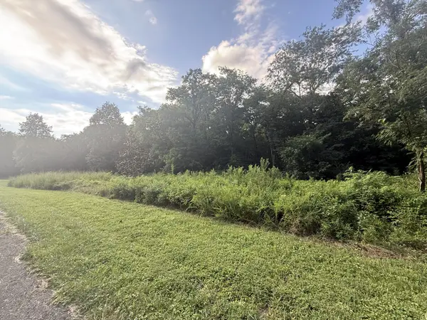 0 Willow Hollow Rd, Clarksville, TN 37043