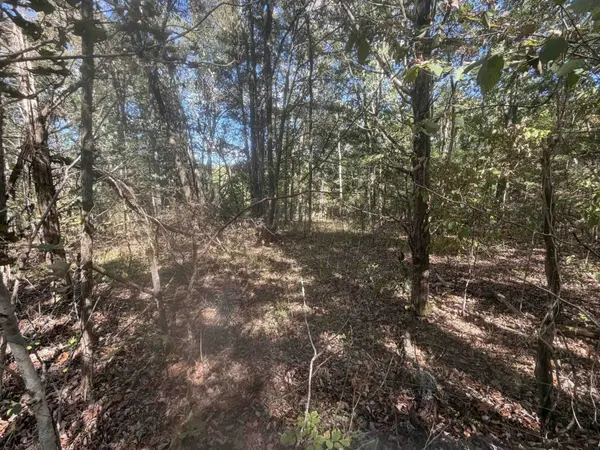 0 DOLL CONWAY RD, Clifton, TN 38425