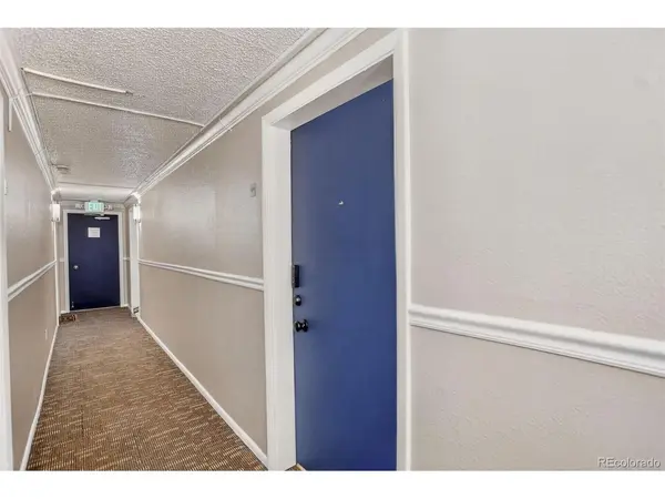 1125 N Washington #505, Denver, CO 80203