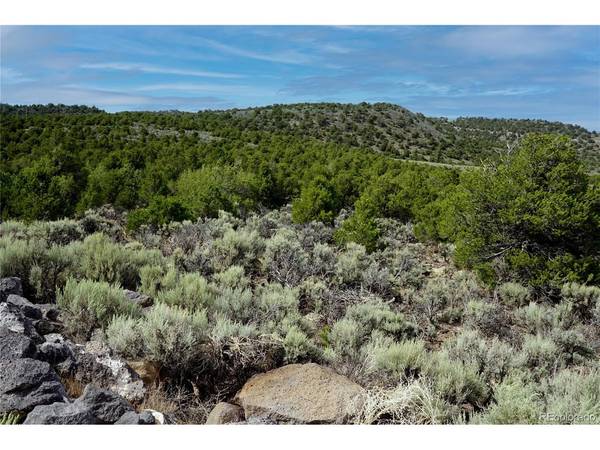 Lot 3 Melby Rancho, San Luis, CO 81152