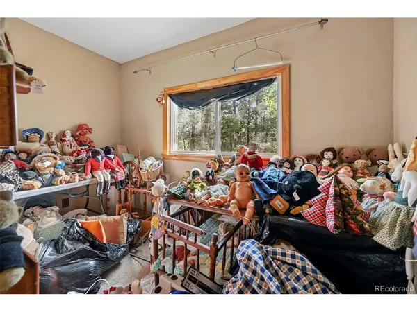 2659 Edlowe, Woodland Park, CO 80863