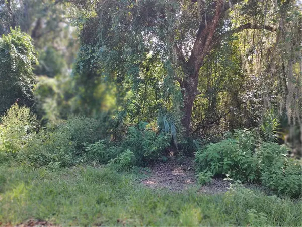 6090 N BAYFRONT DR, Hernando, FL 34442