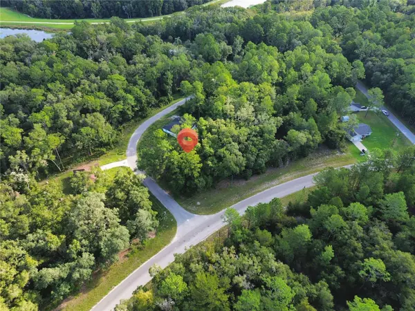 TBD FISHER ROAD, Ocklawaha, FL 32179