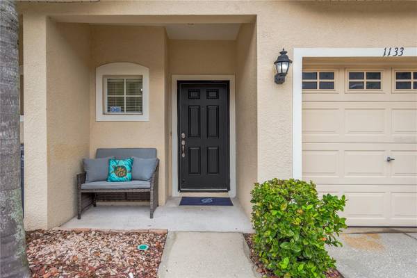 1133 ANDREW AVILES CIR, Tampa, FL 33619