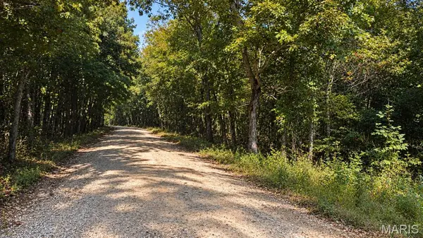 Address not disclosed, Belleview, MO 63623