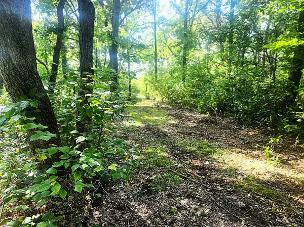 TBD 400th ST, Browerville, MN 56438