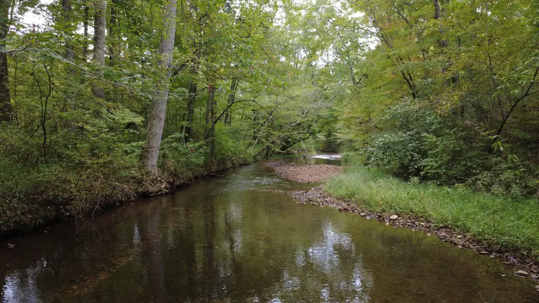 0 Grinders Creek Rd, Hohenwald, TN 38462
