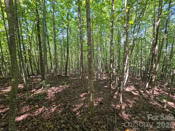 113 Meditation Ridge DR, Nebo, NC 28761