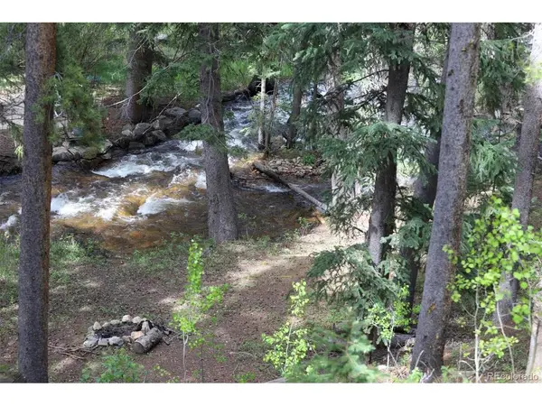 7739 County Road 43, Bailey, CO 80421