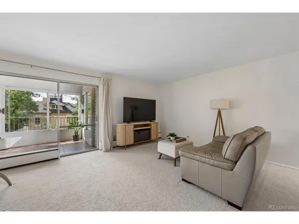 1200 N Humboldt #303, Denver, CO 80218