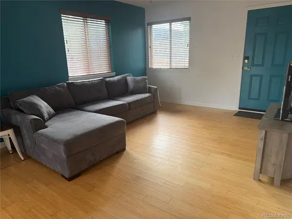 246 S Irving, Denver, CO 80219