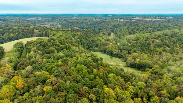 1695 Puncheon Creek Road, Lafayette, TN 37083