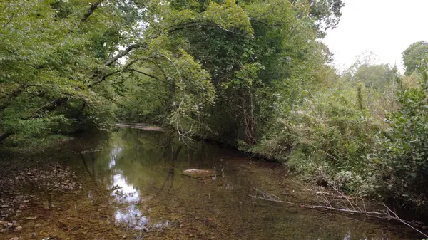 0 Grinders Creek Rd, Hohenwald, TN 38462