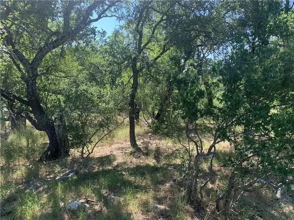 702 Deep Shadows DR, Horseshoe Bay, TX 78657