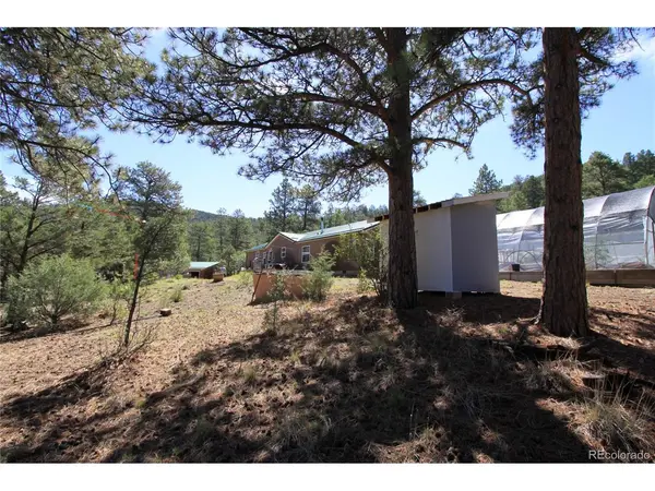 939 19th, Cotopaxi, CO 81223