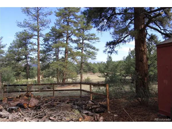 939 19th, Cotopaxi, CO 81223