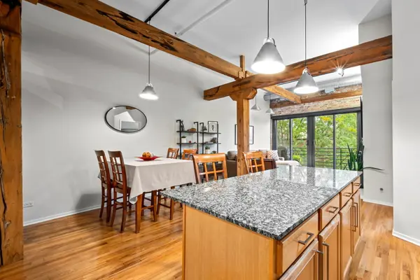 1515 S Michigan AVE #309, Chicago, IL 60605