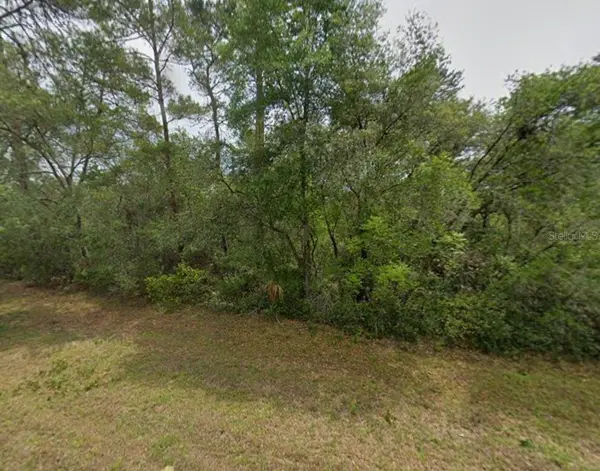 TBD SW 31 CT, Ocala, FL 34473