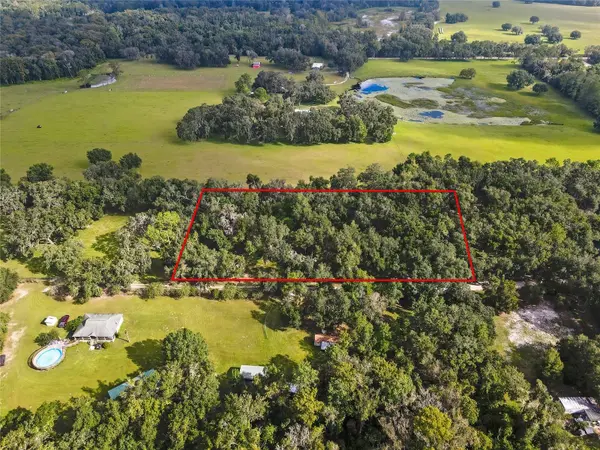 17445 PALMER LN, Spring Hill, FL 34610