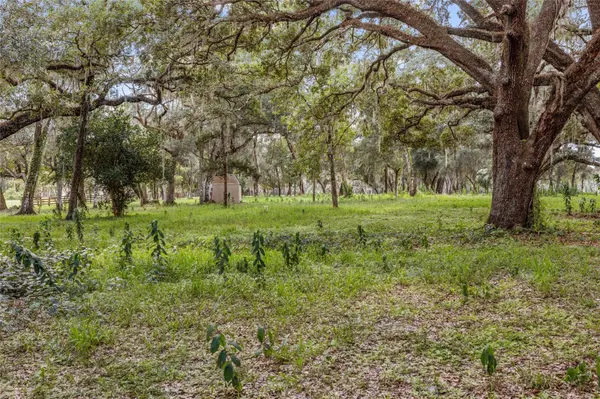 17445 PALMER LN, Spring Hill, FL 34610
