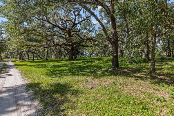 17445 PALMER LN, Spring Hill, FL 34610