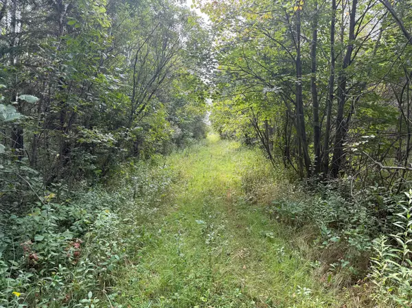 TBD 65th Street NE, Foley, MN 56329
