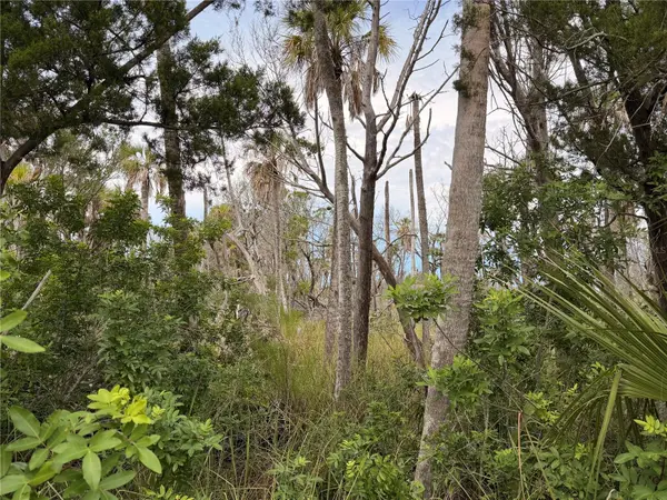 11975 W WATERWOOD DR, Crystal River, FL 34429