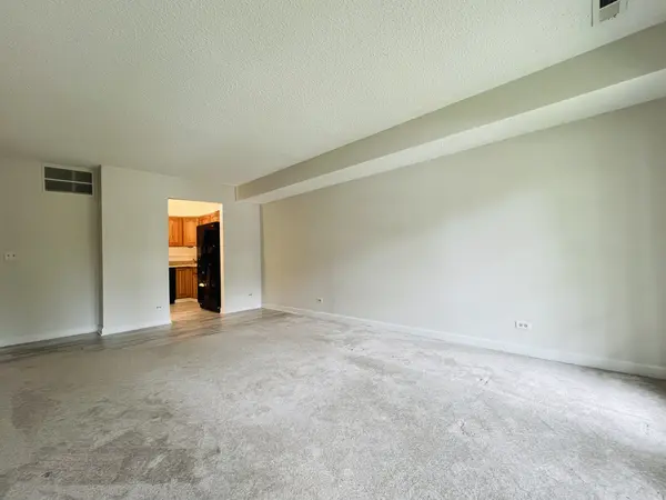 520 BIESTERFIELD RD #117, Elk Grove Village, IL 60007