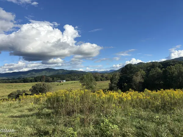 0 Marry Way, Parrottsville, TN 37843
