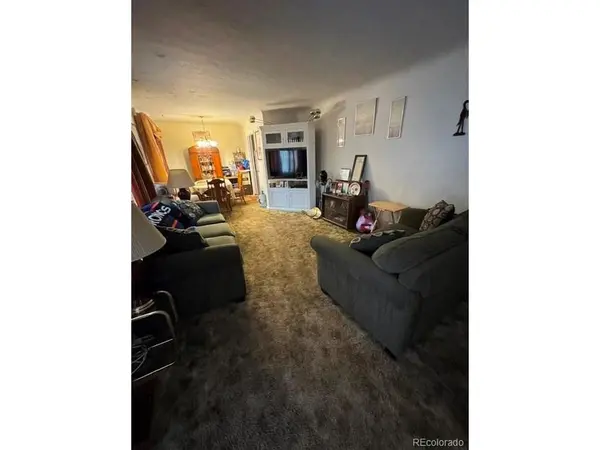 2665 Ivanhoe, Denver, CO 80207