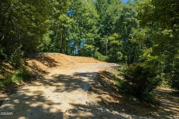 2239 Grassy Branch Road, Sevierville, TN 37876
