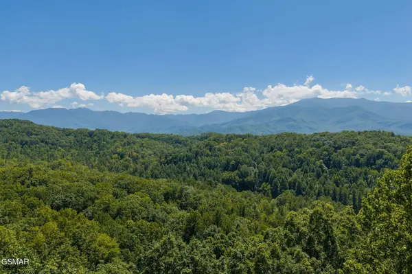 2239 Grassy Branch Road, Sevierville, TN 37876
