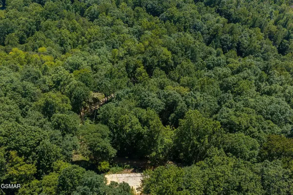 2239 Grassy Branch Road, Sevierville, TN 37876