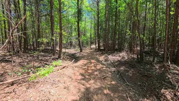 2109 Tract A Riddle RD, Pauline, SC 29374