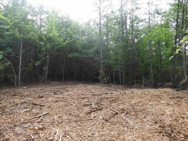 2109 Tract C&D Riddle RD, Pauline, SC 29374