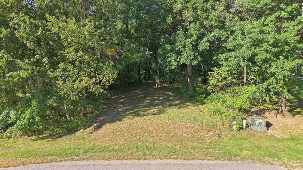 TBD 146th Ave SE, Clear Lake, MN 55319