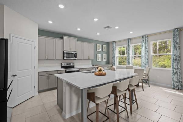 6847 DAINTREE CT, Land O Lakes, FL 34638