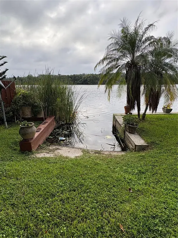 4223 E RIVERHILLS DR, Tampa, FL 33617