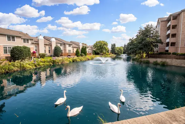 1761 Pavilion WAY #308, Park Ridge, IL 60068